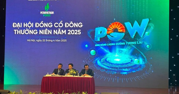 ĐHĐCĐ PV Power: Nhơn Trạch 3&4 có lãi từ năm 2027, mảng trạm sạc dự kiến đóng góp doanh thu không nhỏ