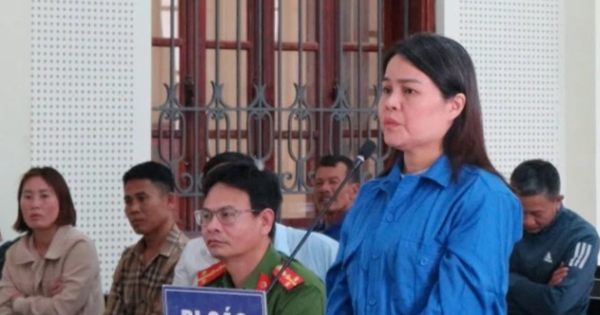 Nữ luật sư rởm lừa chạy án cho hàng chục người, chiếm đoạt gần 7 tỷ đồng