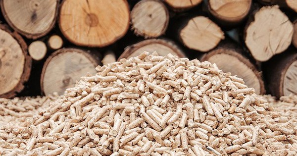 Nhơn Tân tiên phong kiến tạo mô hình kinh doanh xanh và bền vững