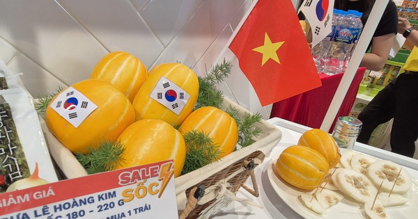 Dưa lê tí hon Hàn Quốc xách tay sắp hết thời
