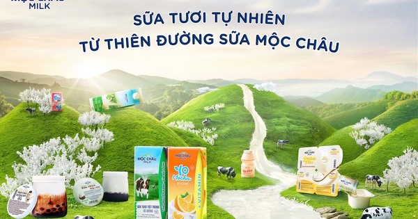 Chìa khóa để Mộc Châu Milk vươn mình mạnh mẽ