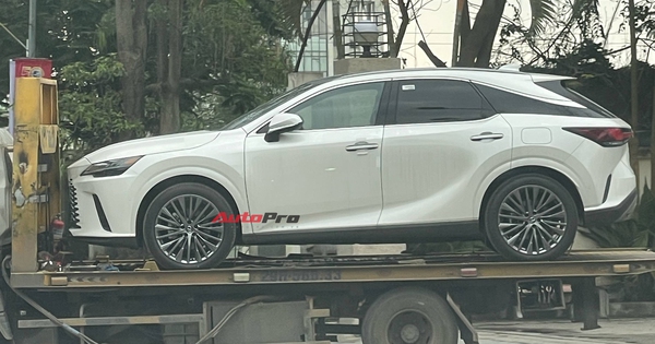 Lexus RX 350h 2025 đã về Việt Nam: Tinh ý mới thấy điểm khác bản xăng, dễ thêm công nghệ, máy tiết kiệm xăng cạnh tranh X5, Q7