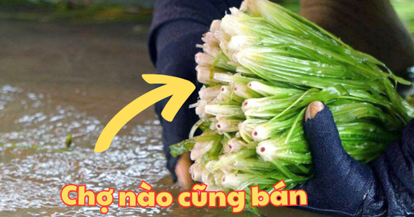 Loại rau dân giã chợ Việt "ê hề", giá chỉ 5k mà có công dụng "đỉnh nóc kịch trần" cho sức khỏe và đời sống!