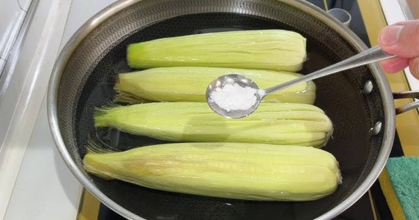 Cho 2 thứ màu trắng này vào luộc ngô đảm bảo dẻo, ngọt, thơm nức mũi: KHÔNG phải đường!