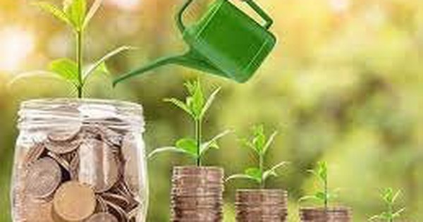 Lịch chốt quyền cổ tức 28/4-29/4: Cổ tức tiền mặt cao nhất 25%