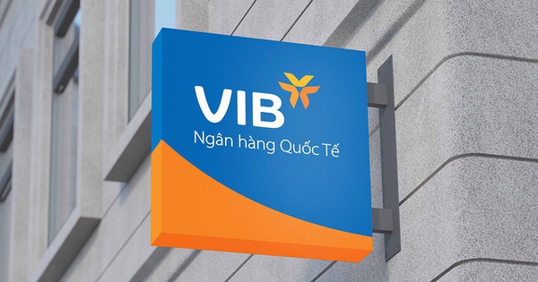 VIB: Lợi nhuận quý 1.2025 đạt hơn 2.400 tỷ đồng, CASA tăng 17%, thực hiện chia cổ tức 21%