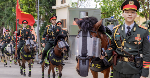 Gặp những chàng kỵ binh cưỡi ngựa từ Thái Nguyên vào TP.HCM chuẩn bị diễu binh 30/4: "Đời người mong được có vài lần"