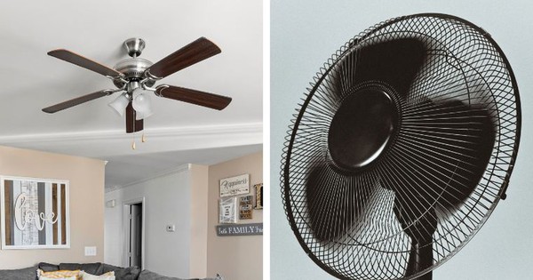 Dùng quạt trần hay quạt cây tốn điện hơn, đây là câu trả lời