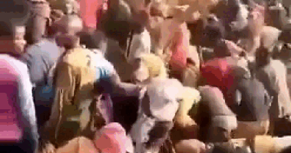 Người nông dân phát hiện ngọn núi 60-90% đất có vàng, xúc ra liền thấy