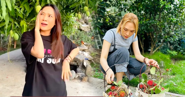 Thú vui đặc biệt của Mỹ Tâm: Trong nhà nữ ca sĩ có gì mà mới "flex nhẹ" đã khiến dân tình trầm trồ?