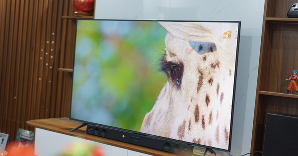 Đánh giá TCL 65C6K: TV QD-Mini LED sáng giá trong phân khúc dưới 20 triệu