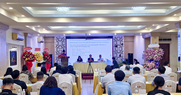 ĐHCĐ DNP Holding: Mục tiêu gần 9.700 tỷ đồng doanh thu, ưu tiên đầu tư hạ tầng và nước sạch ĐBSCL