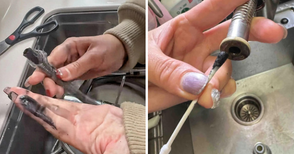 1 người mua vòi nước, cả nhà 3 người mắc bệnh: Phát hiện sự thật lạnh người