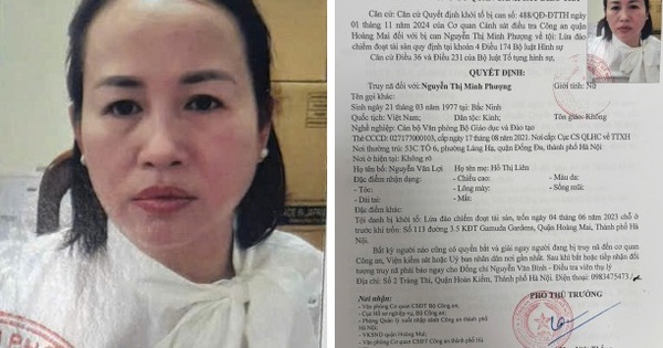 Công an Hà Nội truy nã Nguyễn Thị Minh Phượng