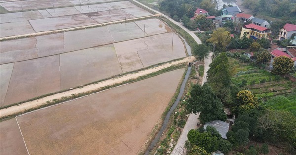 Mới nhất về xử phạt hành vi tự ý "biến" đất trồng lúa thành đất ở, người dân sẽ bị phạt tới 400 triệu đồng