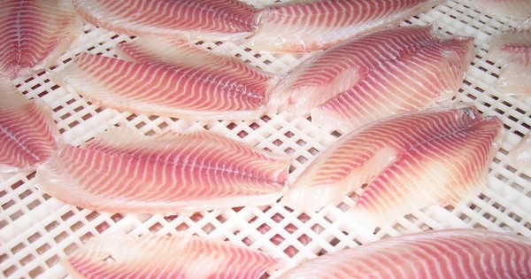 Việt Nam xuất khẩu hàng trăm nghìn tấn sản vật trị giá hơn 10 tỷ USD của TG: Mỹ, Nga liên tục chốt đơn