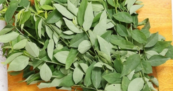 Loại rau chỉ vài nghìn đồng lại chứa lượng vitamin C hơn cam, chanh