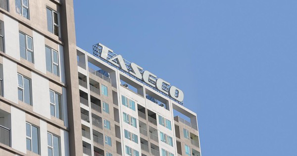 Taseco Land "cài số lùi" lợi nhuận năm 2025, muốn lấn sân mảng giáo dục