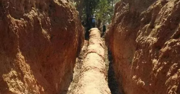 Công trường dừng thi công khẩn cấp vì phát hiện cây gỗ dài 30,5m, “cứng như đá”: Hiện trường bị phong tỏa, "kho báu" hơn 503 tỷ đồng được đào lên