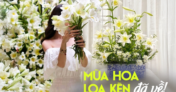Tháng 4 về, chị em rủ nhau khoe bình hoa loa kèn đẹp rực rỡ, đỉnh nhất vẫn là căn nhà với 2.000 bông hoa