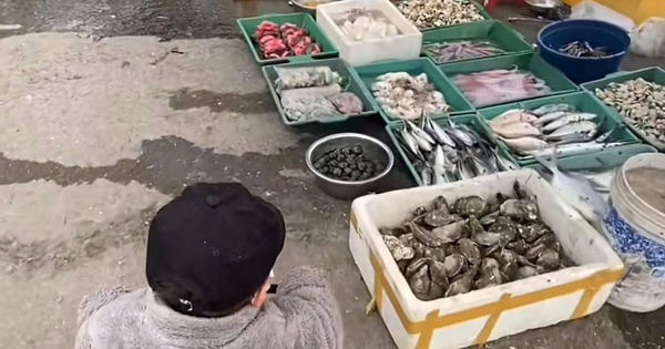 Con muốn đi thủy cung, mẹ đưa đến nơi không ai ngờ, người chê "thế hệ cợt nhả làm mẹ", người khen "dạy con hay"
