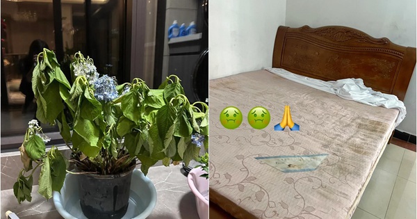 Dù giàu hay nghèo, nếu có 7 thứ này trong nhà bạn cần phải "tiễn" chúng ngay!