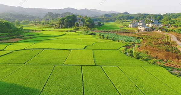 Chuyển đổi mục đích sử dụng hơn 4.900m2 đất gần Vinhomes Đan Phượng để xây nhà ở xã hội