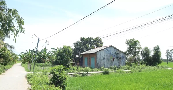 Long An: Từ 15-4, cho phép người dân sử dụng đất nông nghiệp để xây dựng công trình phục vụ sản xuất
