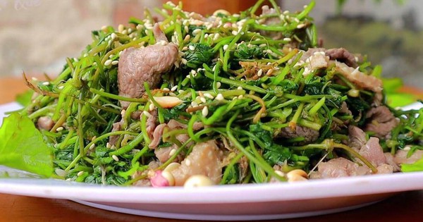 Người Việt có 1 loại rau mọc dại đầy vườn, giúp chống rụng tóc, kích thích mọc tóc con, còn được ví là sâm đất đại bổ
