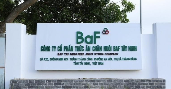 BAF thâu tóm thêm một công ty tại Gia Lai, dự kiến không chia cổ tức
