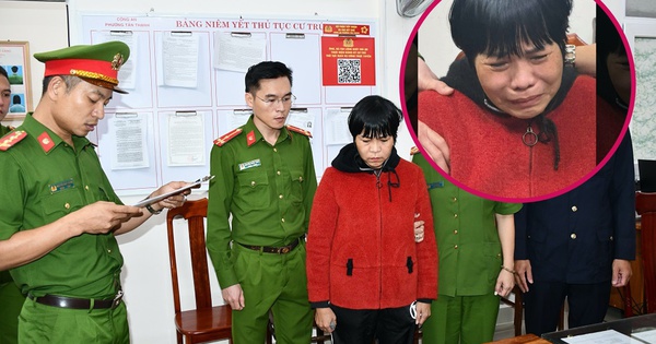 CA Quảng Nam: Tô Thị Ty Na có hành vi sát hại con để trục lợi hàng tỷ tiền bảo hiểm