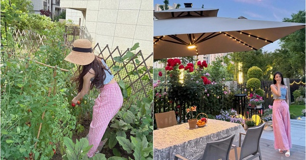 40 tuổi, cuối cùng cũng đạt được ước mơ mua nhà có sân, tôi thỏa sức trồng rau và sống rất thoải mái!