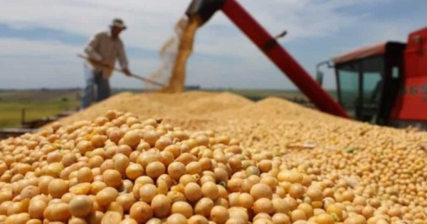 Hàng trăm nghìn tấn ‘báu vật’ từ Mỹ vừa đổ bộ Việt Nam với giá siêu rẻ: Thuế nhập khẩu 0%, nước ta tiêu thụ đứng thứ 3 thế giới