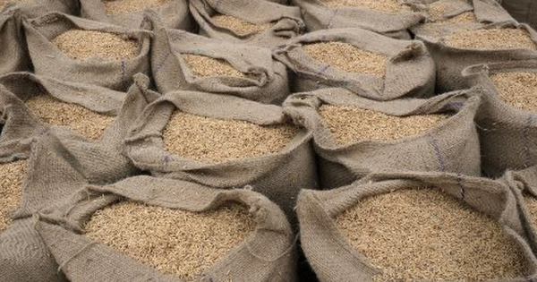 Mỹ áp thuế đối ứng 36%, Thái Lan kêu gọi bảo vệ một loại nông sản vì lo mất thị phần vào tay Việt Nam