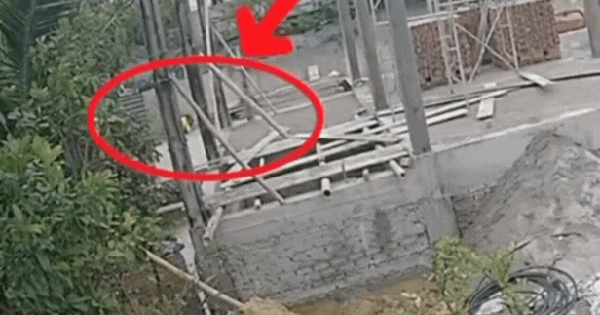 Thêm một góc quay khác về "người hùng nhí" 3 tuổi chưa nói sõi nhưng đã biết cứu bạn ở Nghệ An: Càng xem càng khiến nhiều người trầm trồ