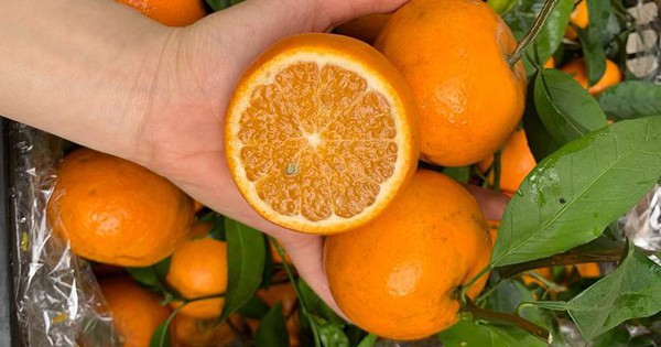 5 loại quả ngọt nhưng an toàn cho người tiểu đường: Chuyên gia khuyên nên bổ sung mỗi ngày