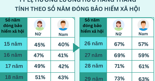 Tra cứu tỷ lệ hưởng lương hưu hằng tháng tính theo số năm đóng BHXH