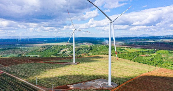 Rót 3,3 tỷ USD vào Việt Nam, doanh nghiệp năng lượng Thái Lan có doanh thu 2.500 tỷ trong năm 2024 phàn nàn về giá mua điện thấp