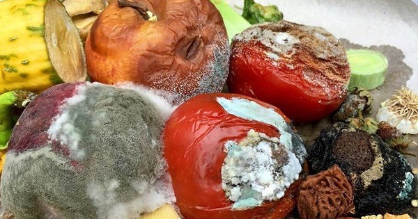 Thực phẩm mốc chỉ cần vứt bỏ hay cắt phần hỏng là vẫn dùng được? Những dấu hiệu nhận biết không phải ai cũng rõ