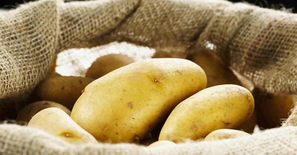 Rắc 1 nắm thứ này vào khoai tây, để cả năm không thối hay mọc mầm