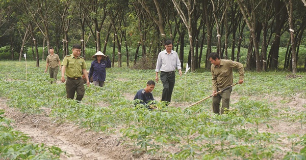 Vietcap khởi động dự án cộng đồng "Go Green Go Up"