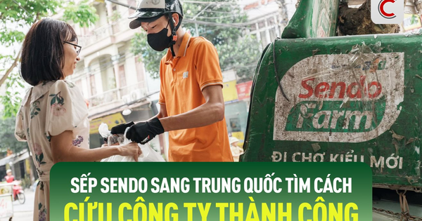 Làm điều chưa ai từng làm: Chuyện Sendo hồi sinh ngoạn mục nhờ từ bỏ TMĐT, thâm nhập thị trường ngách gần 3 tỷ USD, hút 1 triệu khách hàng