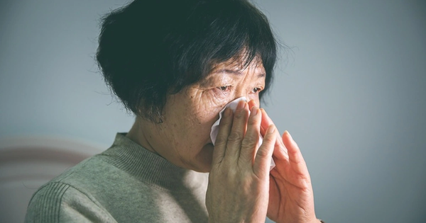 Làm bảo mẫu 15 năm cho giám đốc, ngày nghỉ việc, tôi nhận được 1 món quà: Chẳng phải tiền hay vàng, thứ bên trong không ai ngờ đến