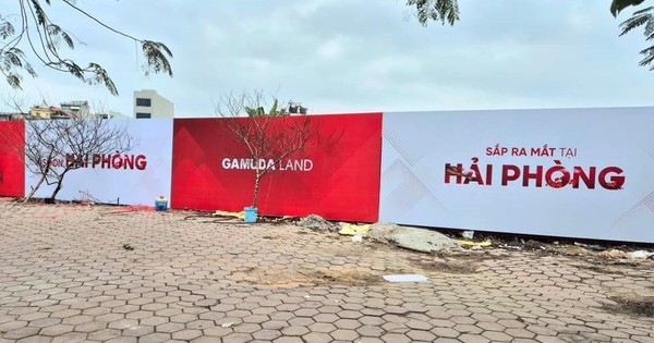 Hải Phòng chuyển 10.000 m2 đất trồng lúa sang phi nông nghiệp để xây công trình thương mại, giao cho doanh nghiệp nội liên quan Gamuda Land