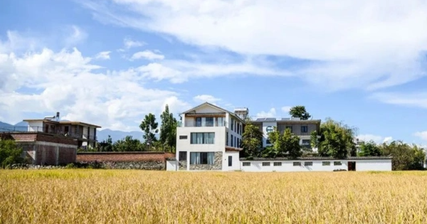 4 anh em về quê góp tiền xây biệt thự trên mảnh đất 700m2: Đủ làm nơi nghỉ hưu cho gia đình 11 người