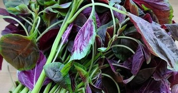 Mùa hè nấu 3 món ăn màu đỏ này để tăng sức đề kháng, không lo ốm vặt