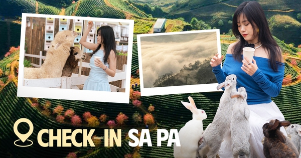 Mùa hè trốn nắng nóng rủ nhau đi chơi ở Sa Pa và đây là những địa điểm check-in kiểu gì cũng có ảnh đẹp!