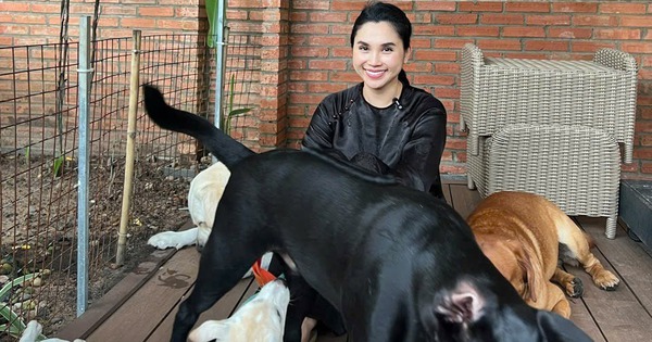 "Chị bán gạo" hot nhất TikTok xây villa cho cún cưng, 2 triệu người cảm thấy... "thua đời"