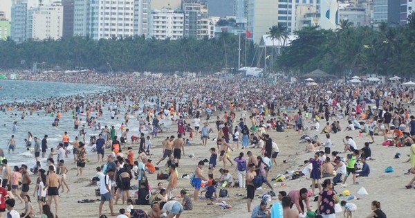 Xuất hiện sứa lửa ở biển Nha Trang