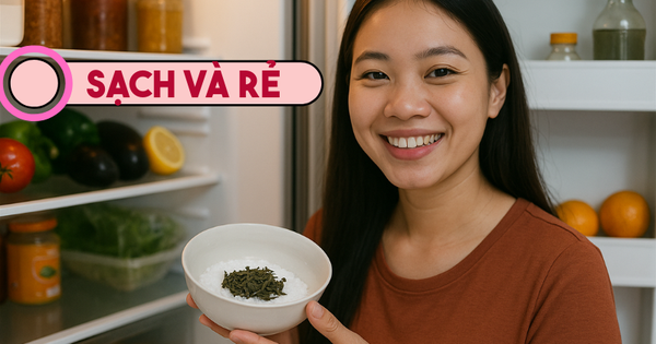 Chỉ tốn 1.000 đồng, tôi đã khử sạch mùi hôi trong tủ lạnh, thứ mùi dai dẳng suốt cả năm biến mất chỉ sau 1 đêm
